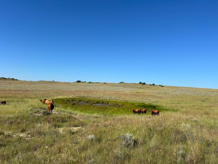 Commercial Property for Sale in Zastron Rural Free State